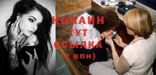 spice Сатка