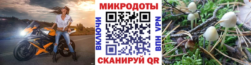 Псилоцибиновые грибы Psilocybine cubensis  Новоульяновск 